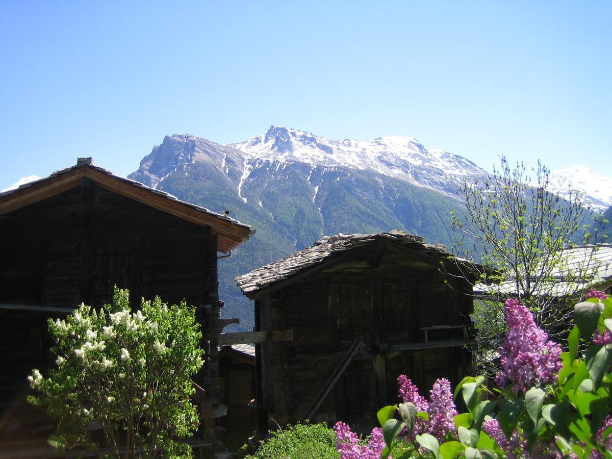 Apartamento Bergquell Haus D Blatten bei Naters Exterior foto