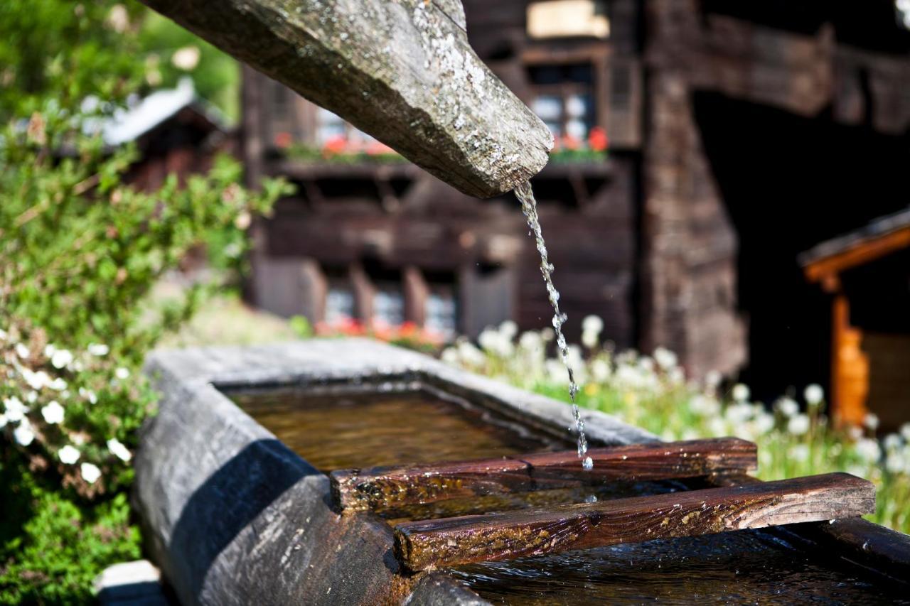 Apartamento Bergquell Haus D Blatten bei Naters Exterior foto